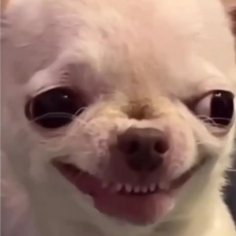 1788217393580.webp