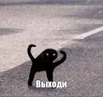 1788466358082.webp