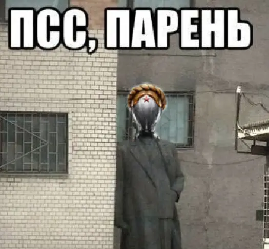 1788467065967.webp