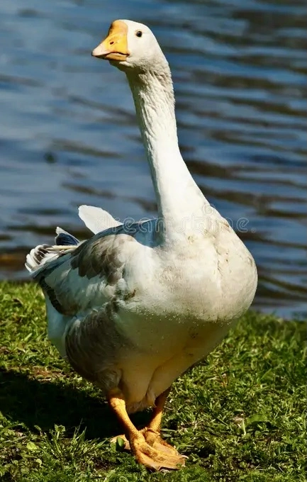 1788544679397.webp