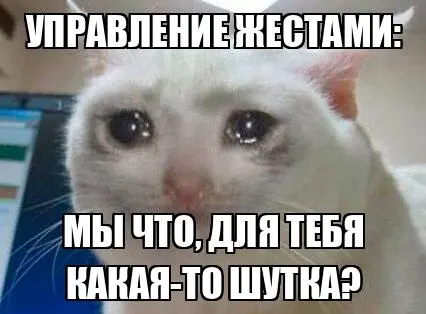 1788980330293.webp
