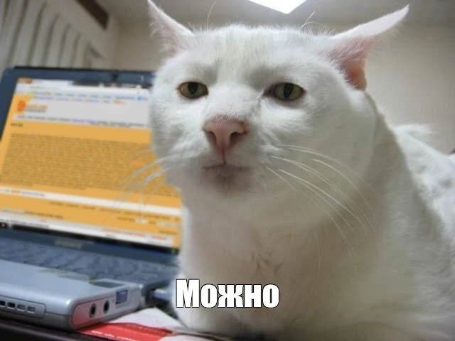 1789477954478.webp