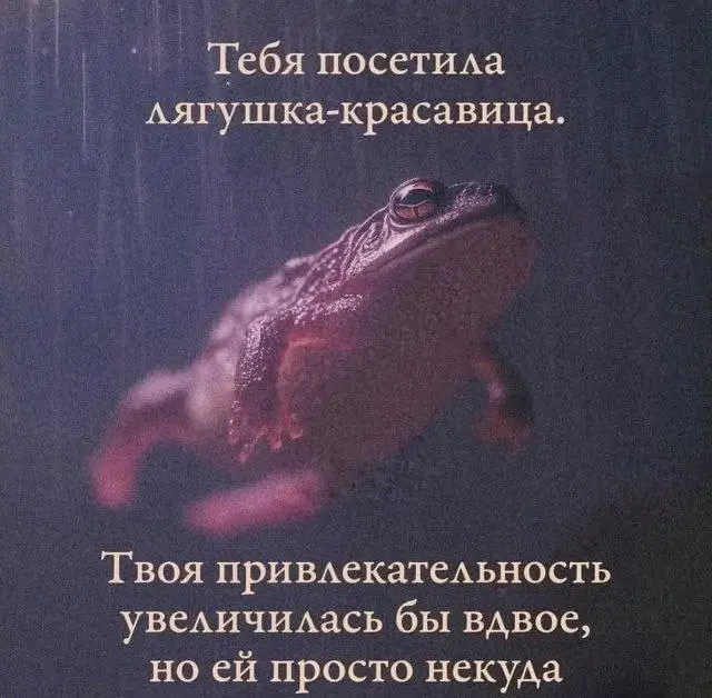 1789550424875.webp