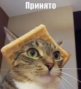 1789751574724.webp