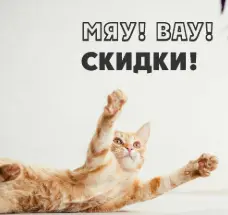 1789809776971.webp