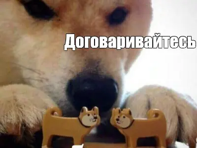 1790146631608.webp