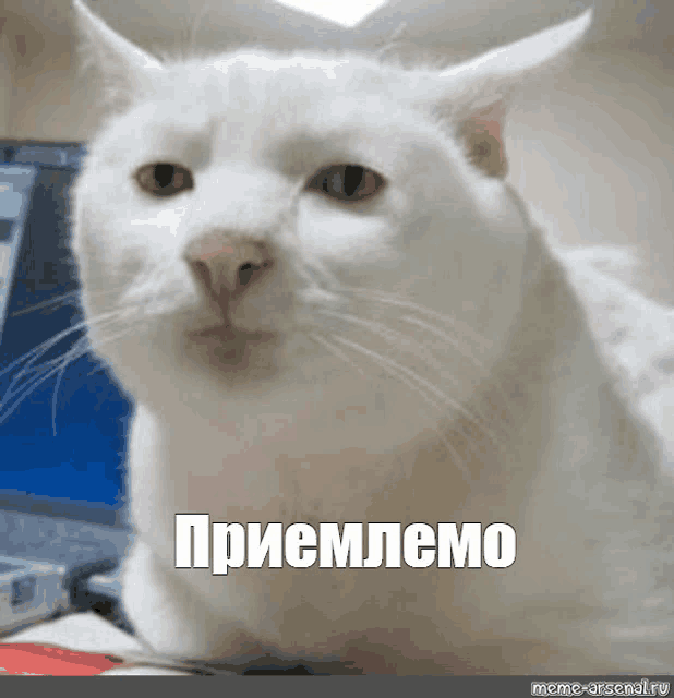 1790529371308.gif