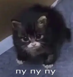 1790716223295.webp