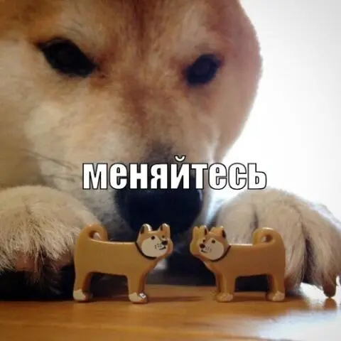 1790790547142.webp