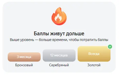 1790806663394.webp