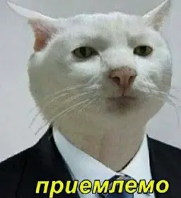 1791046978565.webp