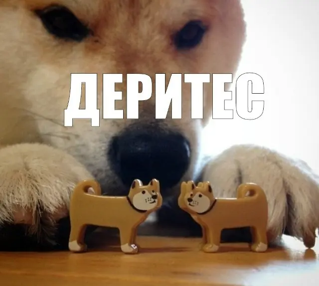 1791288380336.webp