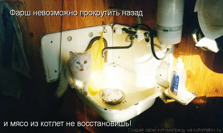 1791407605546.webp