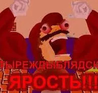 1791550996556.webp