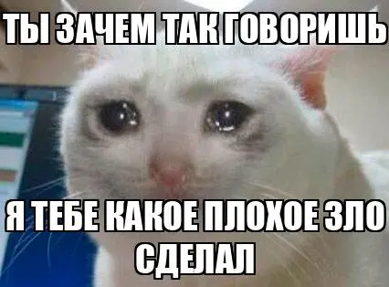 1791563710241.webp