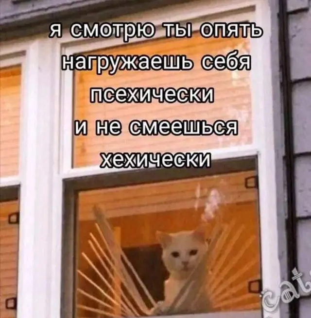 1791705968048.webp