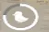 1792598362178.webp