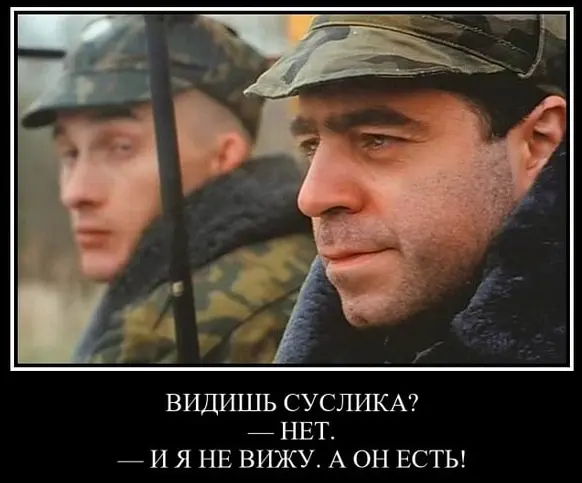 1792675874775.webp