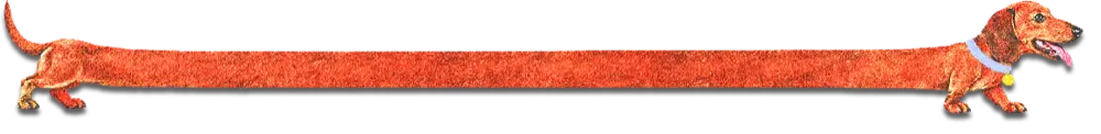 1792768055068.webp