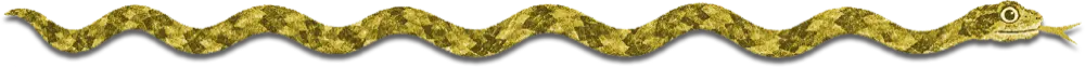 1792768649934.webp