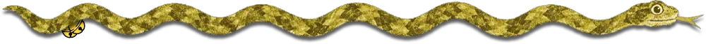 1792769304086.webp