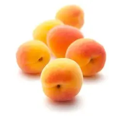 1792894225653.webp