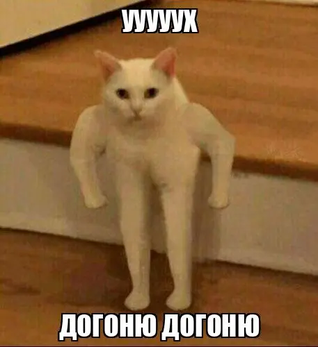 1792951771679.webp