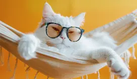 1792962252142.webp