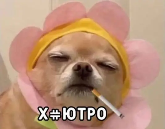 1793440829661.webp
