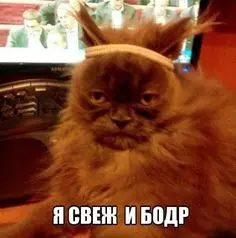 1793441371461.webp