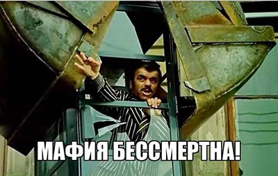 17990876.webp