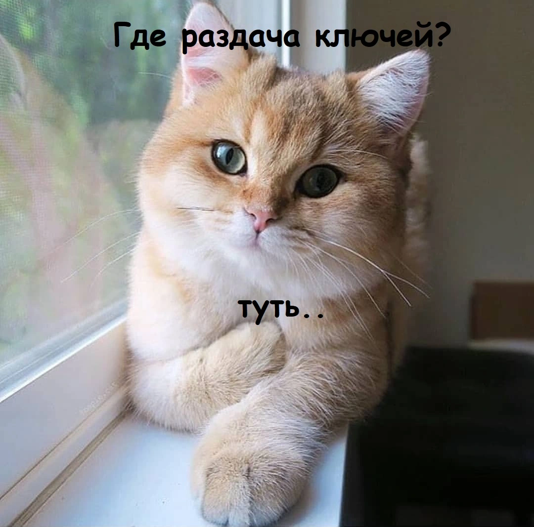1920493553_original.jpg