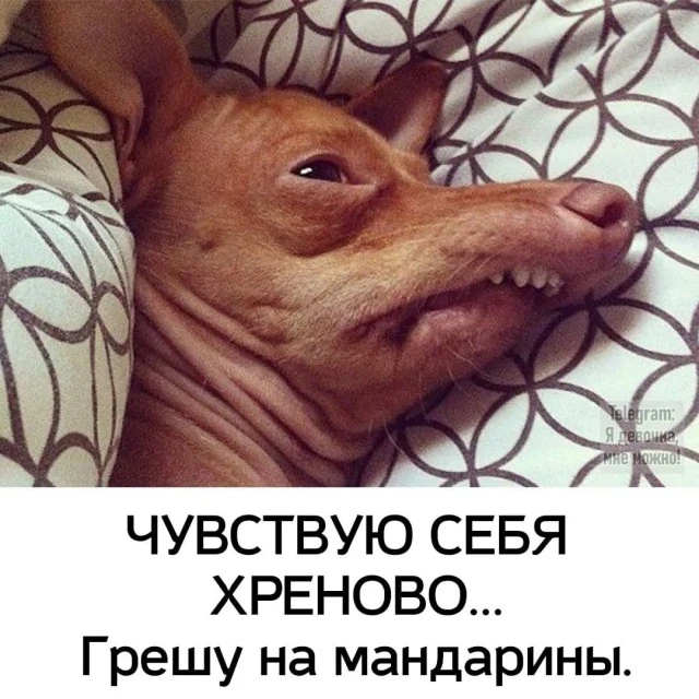 19696411.webp