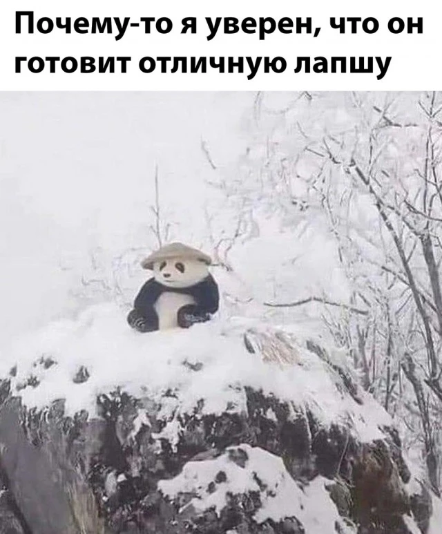 19722317.webp