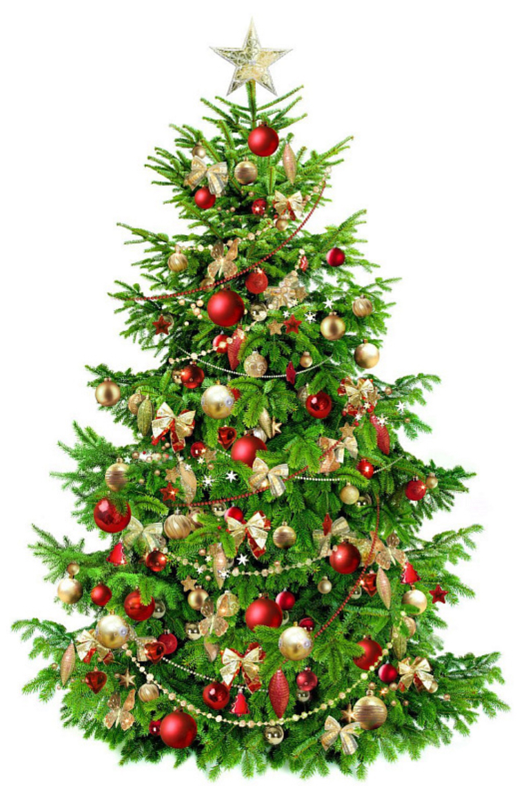 1C20874A-C609-4E0A-8FE4-7419F953B1C7.webp