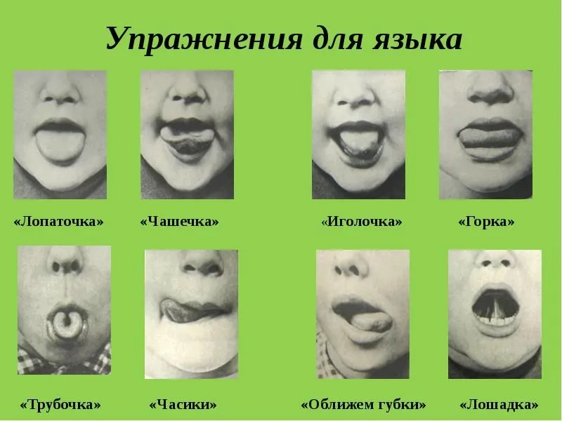 1fd3e9adfd129d492818d886a810b262.webp