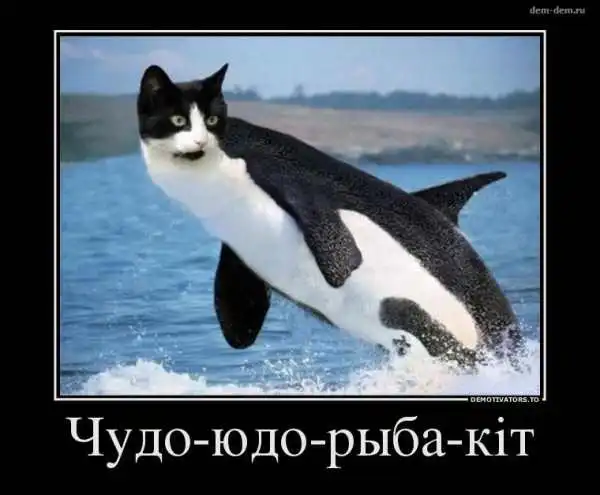 1ntzbvx45m3 кит.webp
