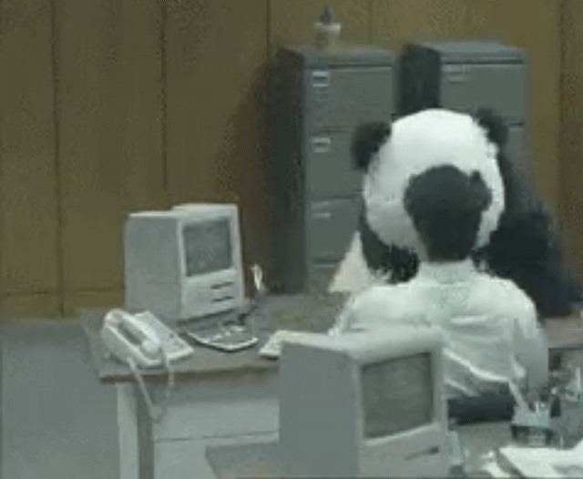 1vjFiDS.gif