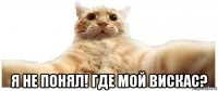 2.webp