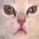 2.webp