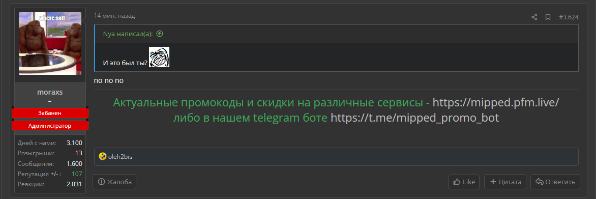 2.webp