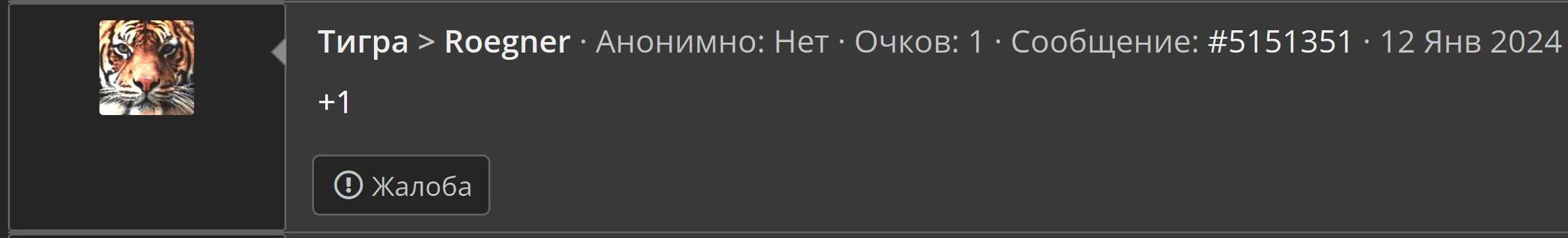 2.webp