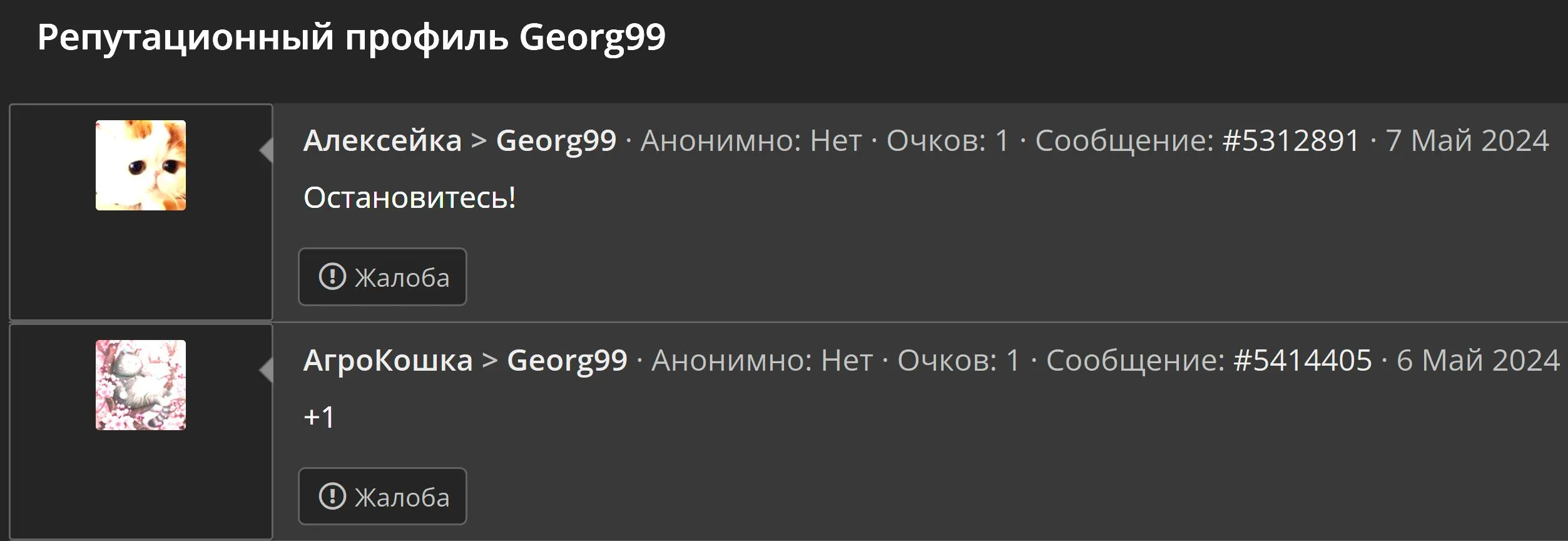 2.webp