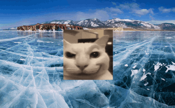 200.gif