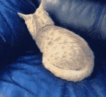 200.gif