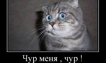 2016050219424316.webp