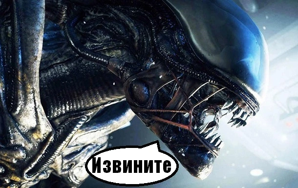 2018403.webp