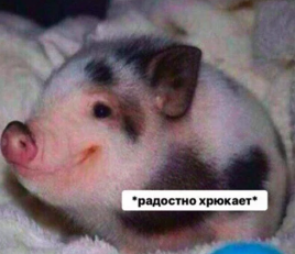 2023-08-23_19-53-10.png