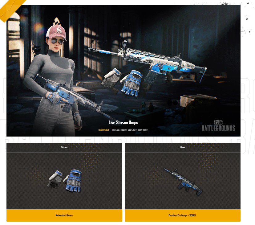 2024-05-14 13_24_52-PUBG_ BATTLEGROUNDS.webp