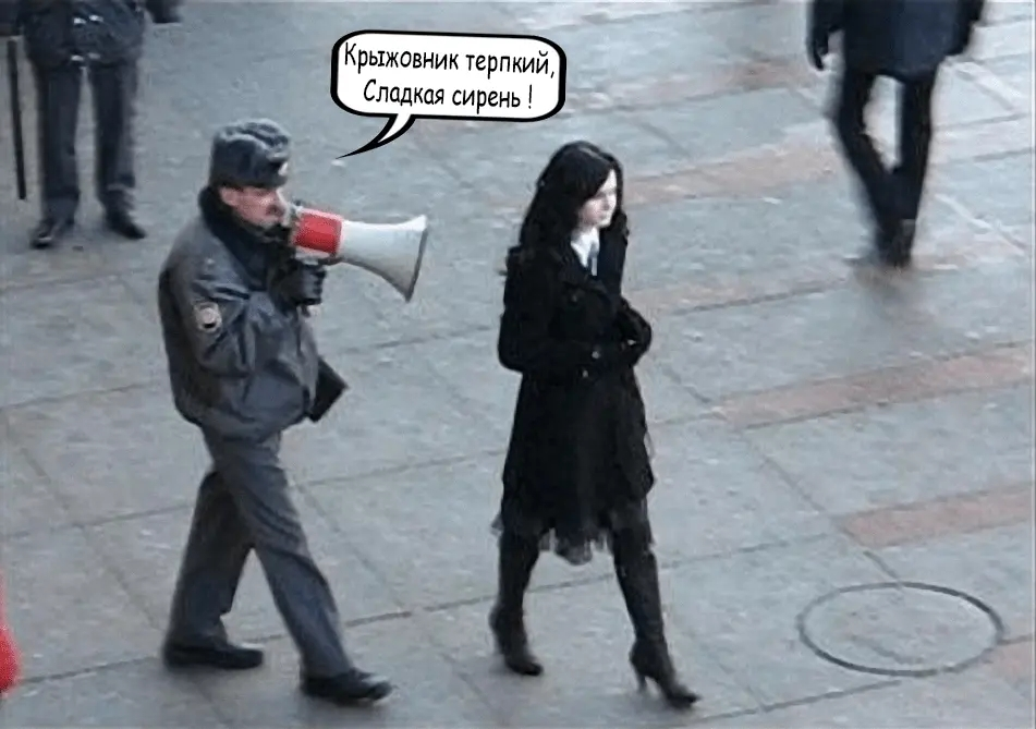 20240516_112300.webp